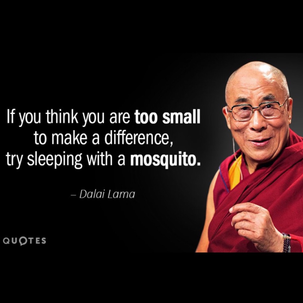 🚫CLOSET CLOSED🚫